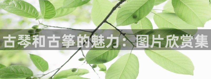 凯发手机app官网