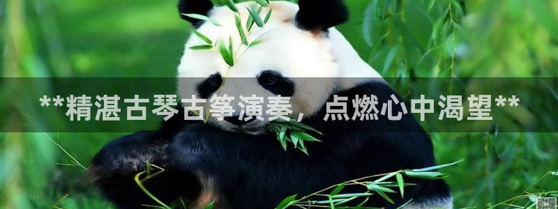 凯发娱乐唯一官网