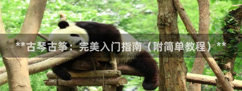 凯发网官网