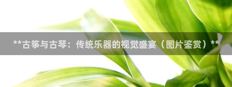 凯发国际网址官网