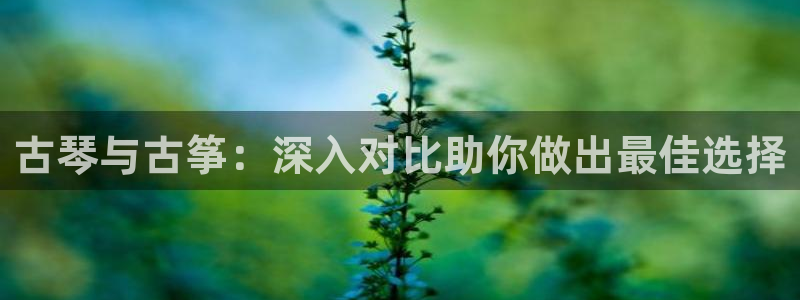 凯发k873