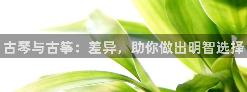 凯发平台风采