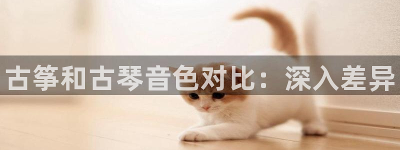 凯发网官网