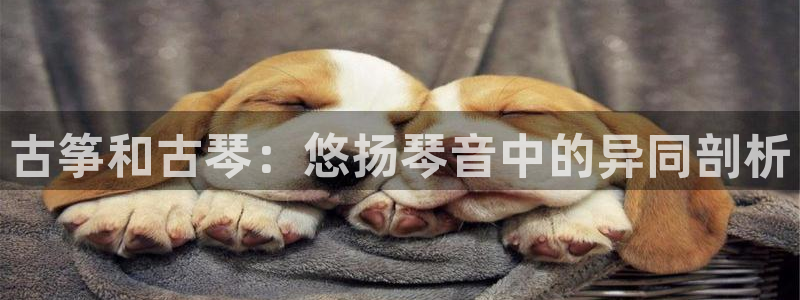 凯发国际app下载