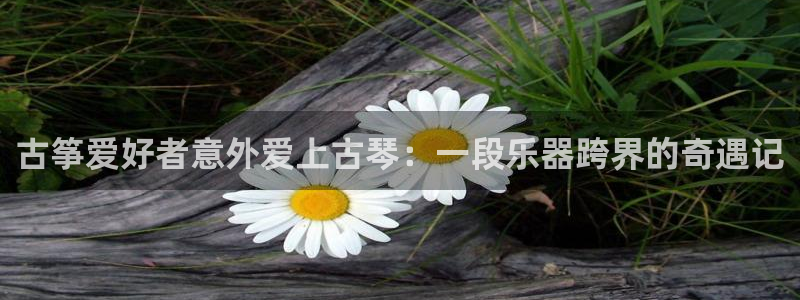 凯发k8娱乐官方下载