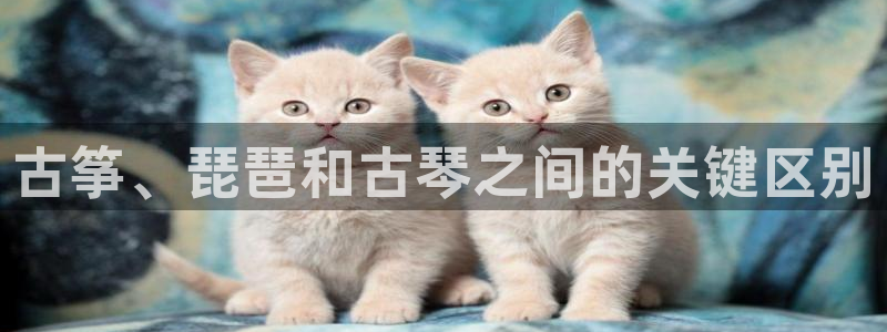 凯发官网地址