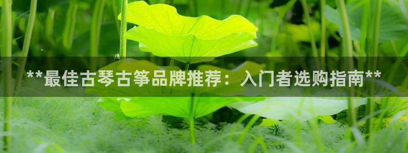 l凯发国际官网