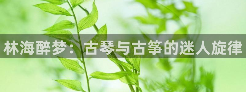 凯发k8国际真人版可靠送38元