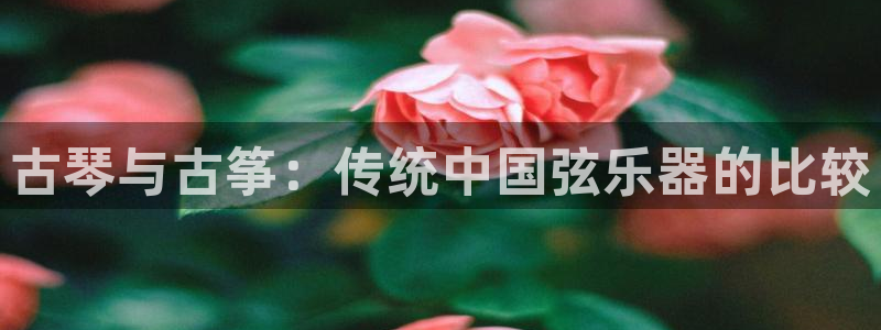 凯发官方网站是多少