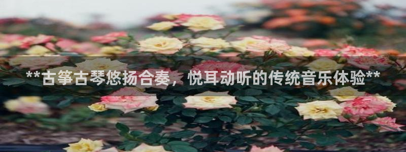 凯发国际真人