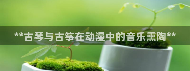 凯发网网站