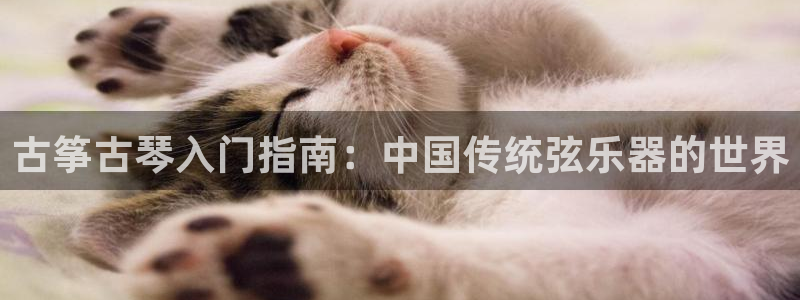 凯发app是干嘛的