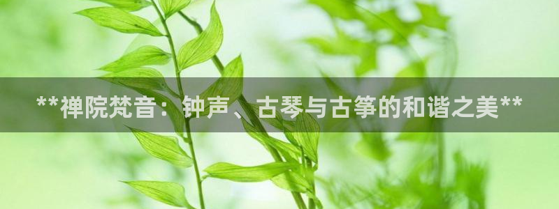 凯发k8娱乐要访问kf6819