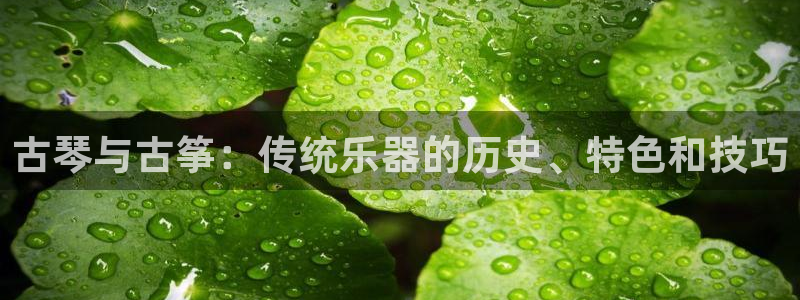 凯发国际网址官网