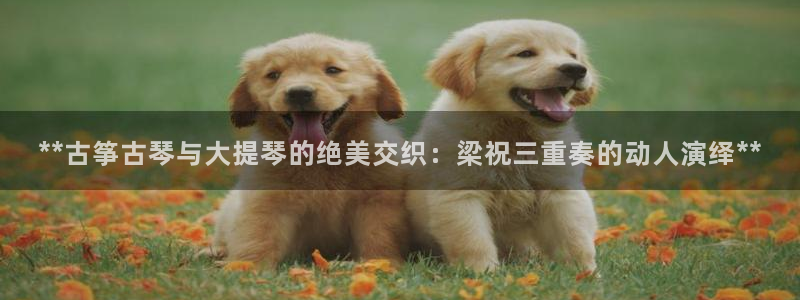 凯发k8官方旗舰店app
