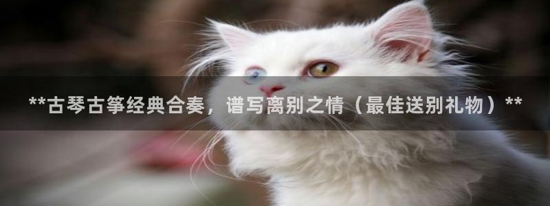 凯发k8娱乐平台下载
