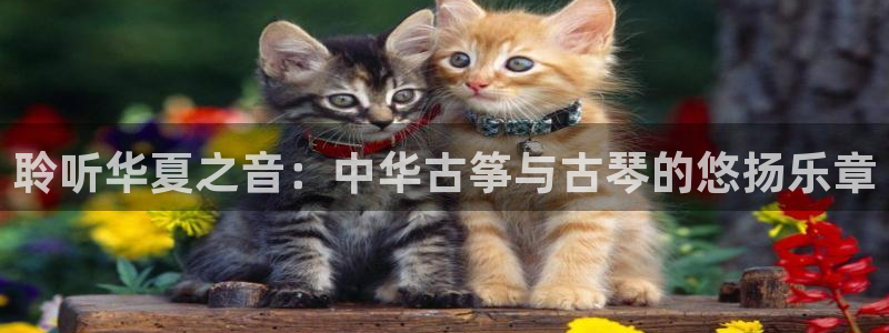 凯发官网登录地址陆地