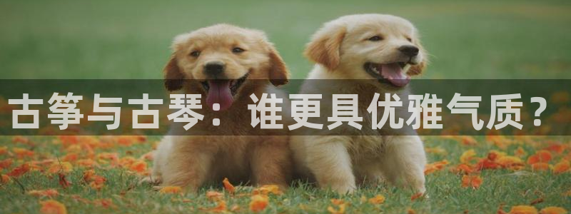凯发k8国际真人娱乐旗舰厅