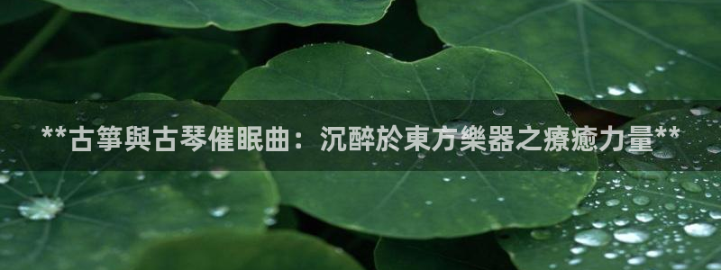 凯发官网|认准kpm