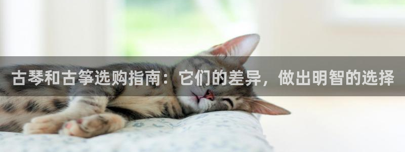 凯发网址直营