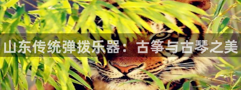 l凯发国际官网