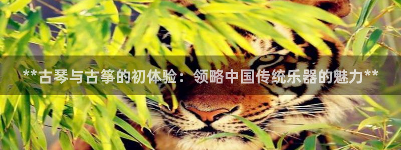 凯发国际平台首页