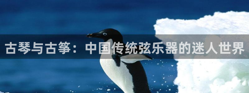 国际凯发k8真人版旗舰厅