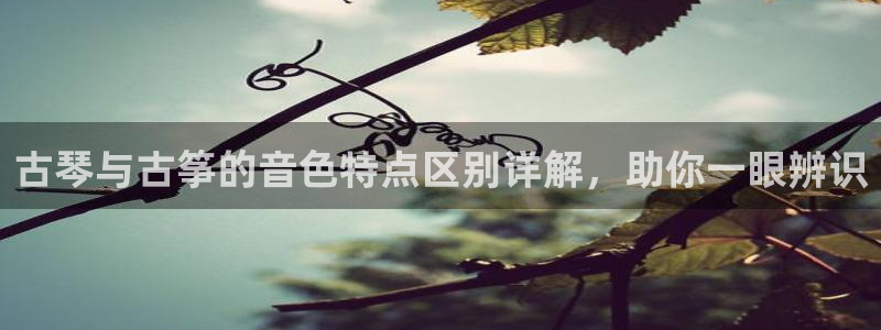 凯发k8旗舰店