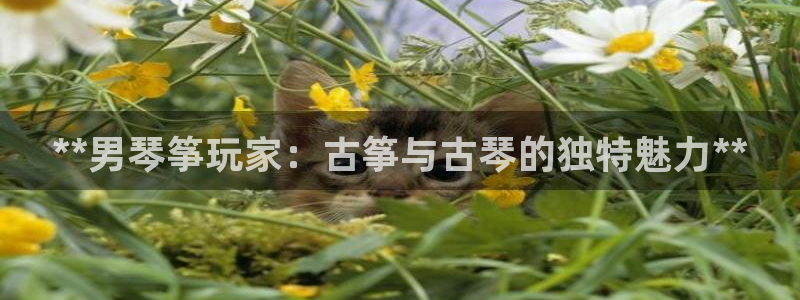 凯发国际怎么赚钱
