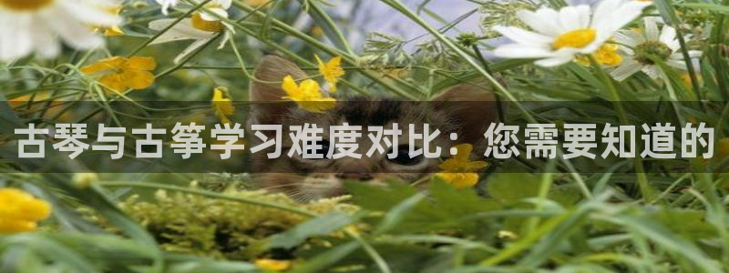 凯发k8娱乐真人旗舰厅客服