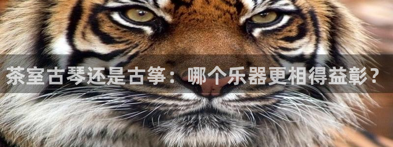 凯发k8娱乐官网网址中心