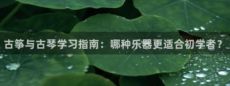 凯发正规网站