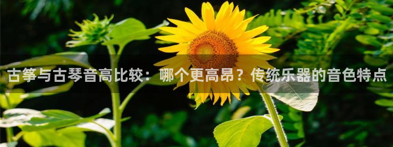 凯发是正规平台吗