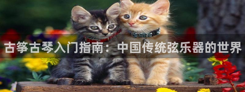 凯发k8娱乐官网手机端中心