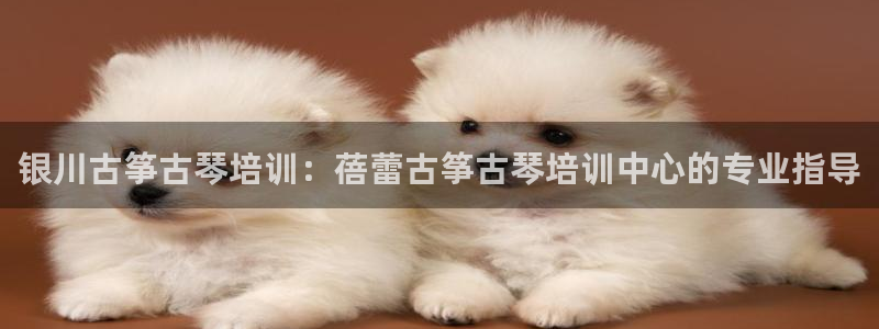 凯发网址直营