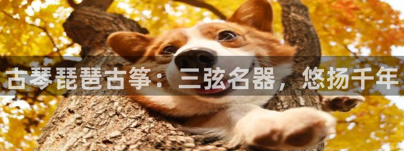 凯发k8旗舰厅app下载可靠送38元是真的吗