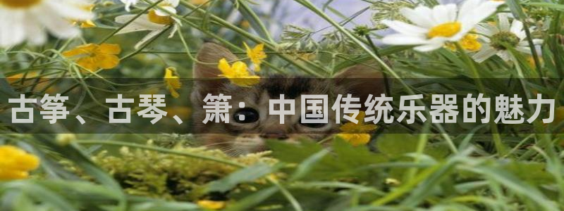 凯发k8官网so选来就送38