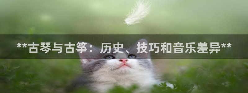 凯发平台k8