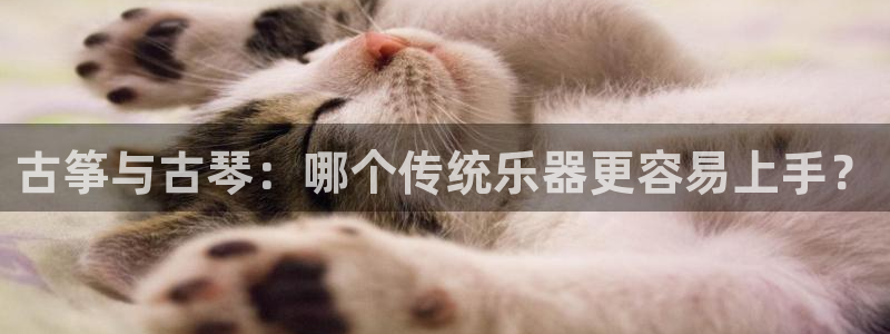 凯发官网地址
