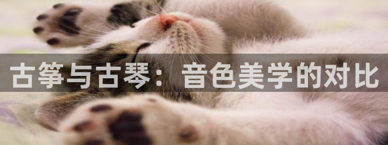 凯发k8娱乐是什么平台