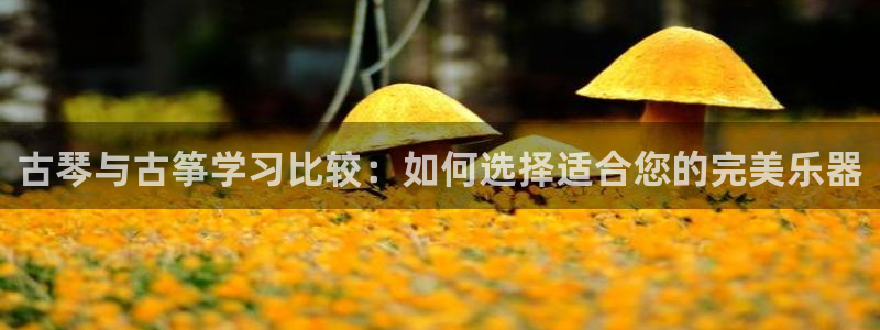 凯发k8国际下载