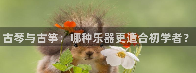 凯发娱乐官方网