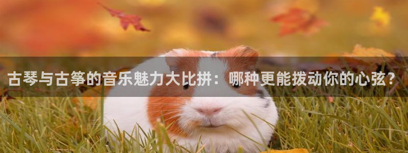 凯发网址多少