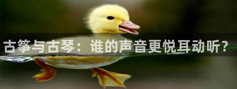 凯发k8娱乐平台能提现吗