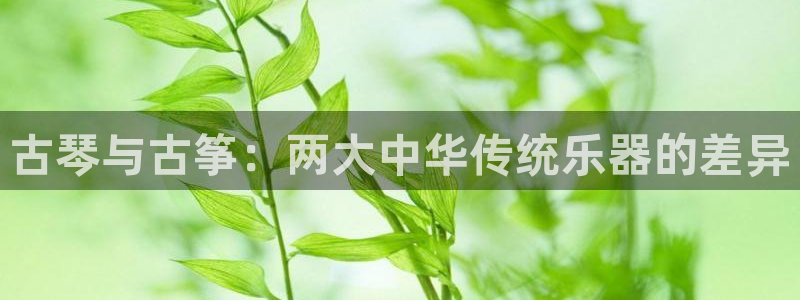 凯发k8娱乐网址多少