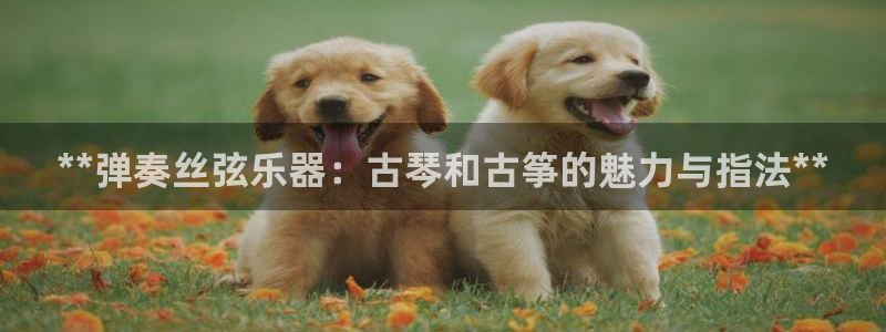 凯发k8娱乐平台能提现吗