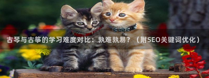 凯发官网登录免费下载：古琴与古筝的学习难度对比：孰难孰易？（