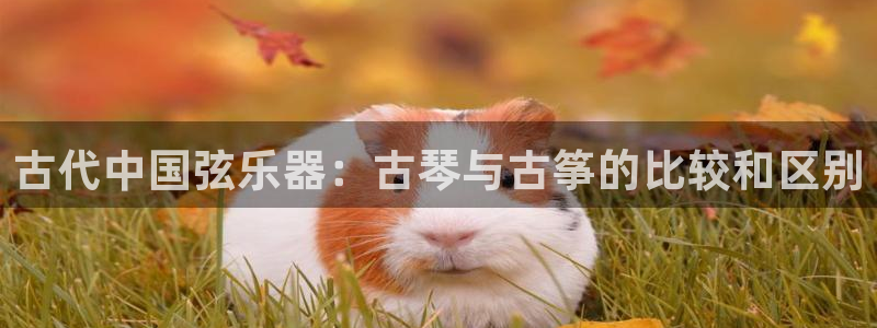 凯发手机官网