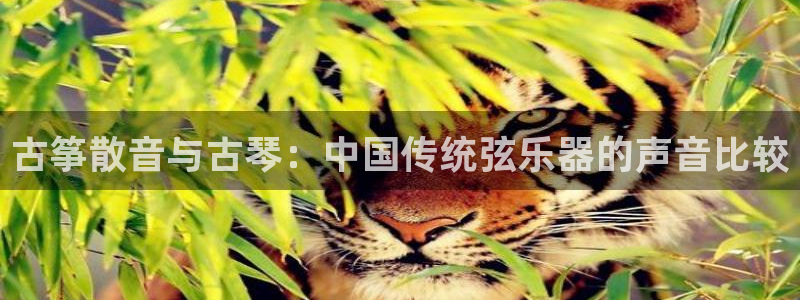 凯发国际网址官网首页