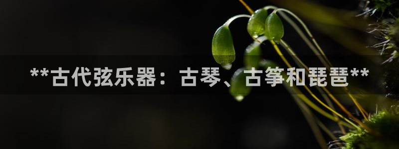 凯发k8国际官网可靠吗